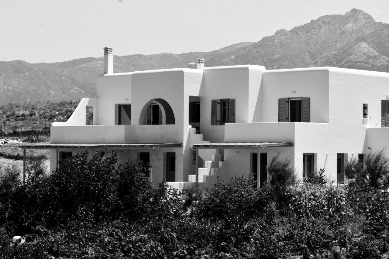 Relaxia Estate Naxos Apartment *